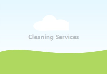 Cleaning Services service preview