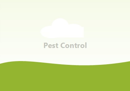 Pest Control service preview